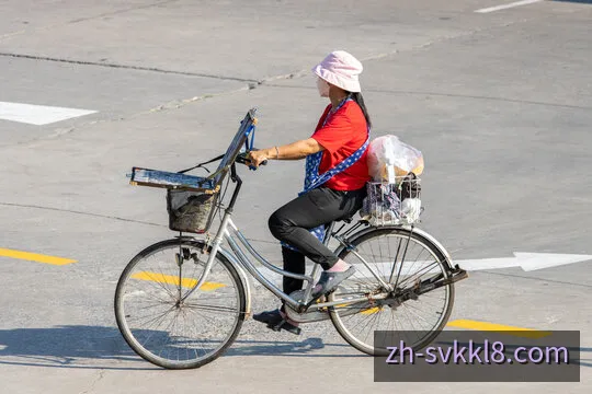 斯洛伐克快乐8数字化计算平台概览